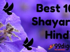 Best 100 Shayari In Hindi